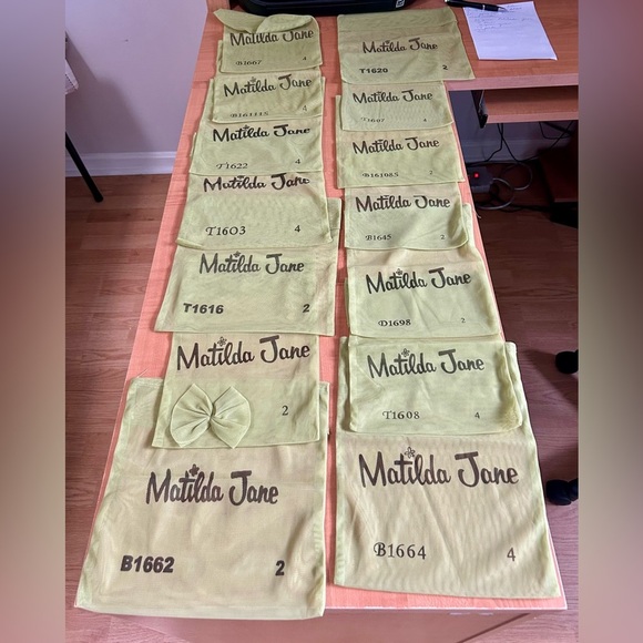 Matilda Jane mesh bags lot of 51 different sz & shapes paint by numbers series - Picture 9 of 10
